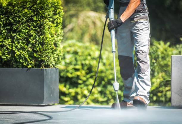 Best Graffiti Removal Services in Citrus City, TX